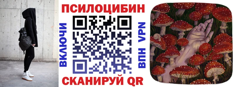 hydra онион  Канск  Псилоцибиновые грибы Magic Shrooms  сколько стоит 